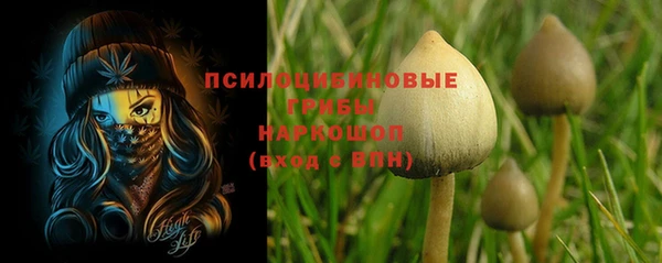 экстази Богданович