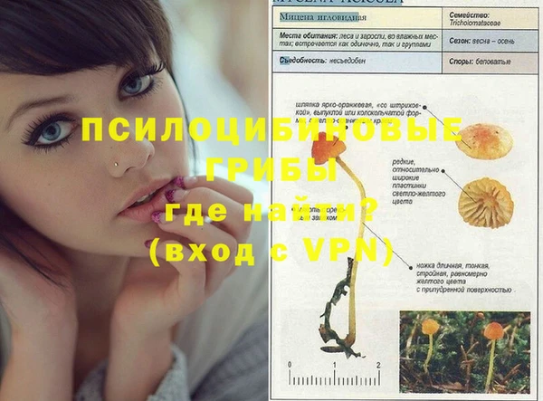 герыч Бронницы