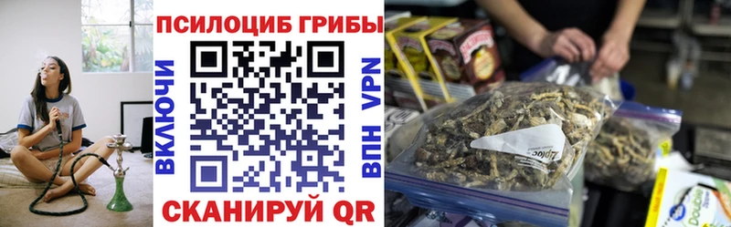 хочу   Верхняя Пышма  Галлюциногенные грибы прущие грибы 